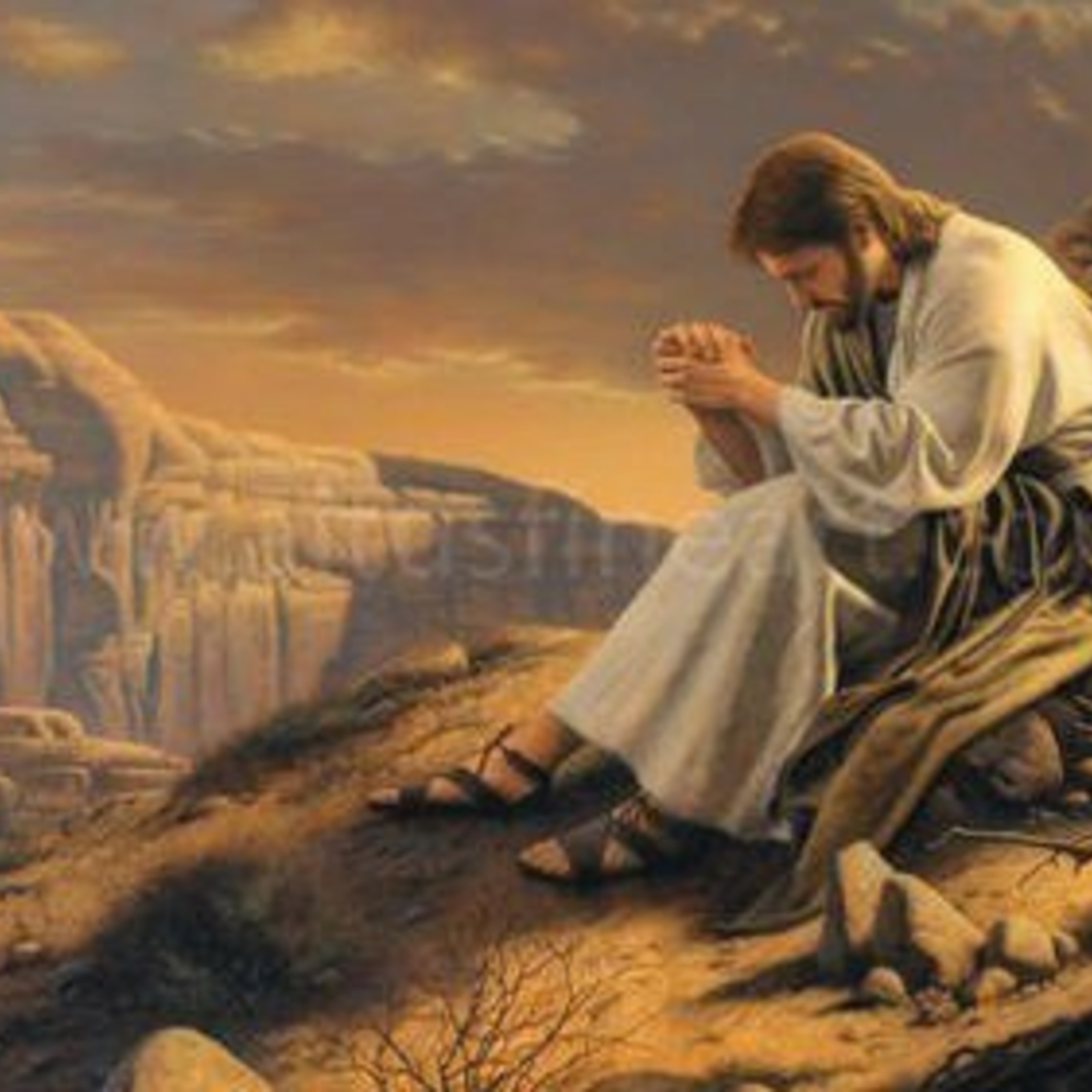 Jesus In The Desert
